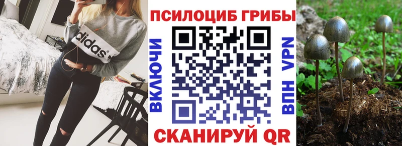 маркетплейс формула  Жиздра  Галлюциногенные грибы мухоморы 